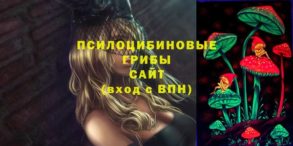 2c-b Кулебаки
