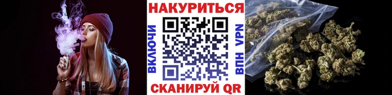 наркота Сясьстрой Конопля Ganja